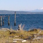 Across the Sound to Mt Baker